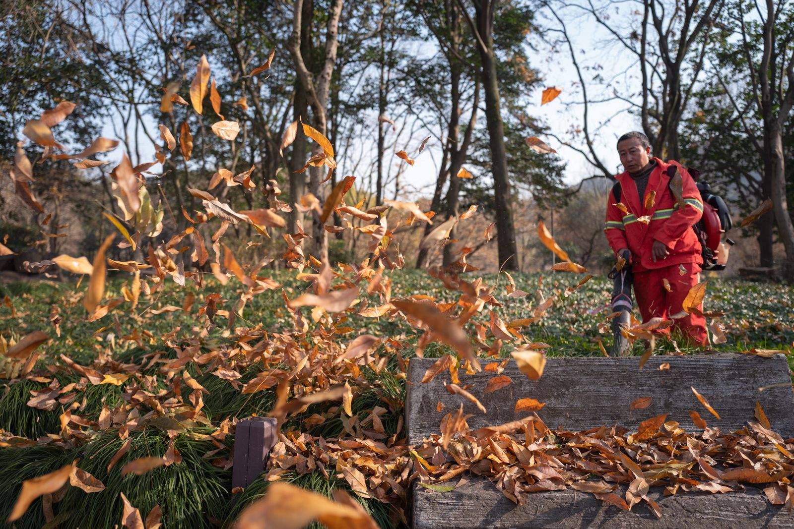 Worker blowing autumn leaves